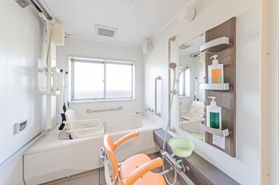 Bathroom Accessibility detail